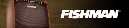 Fishman are a manufacturer of guitar accessories from pickups to PA systems, pedals and preamps. 